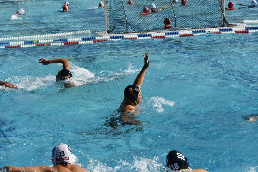 Water Polo Wrap Up