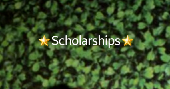 This weeks scholarships that are available for Pinole Valley High School students. 