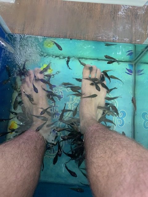 The fish eating my feet