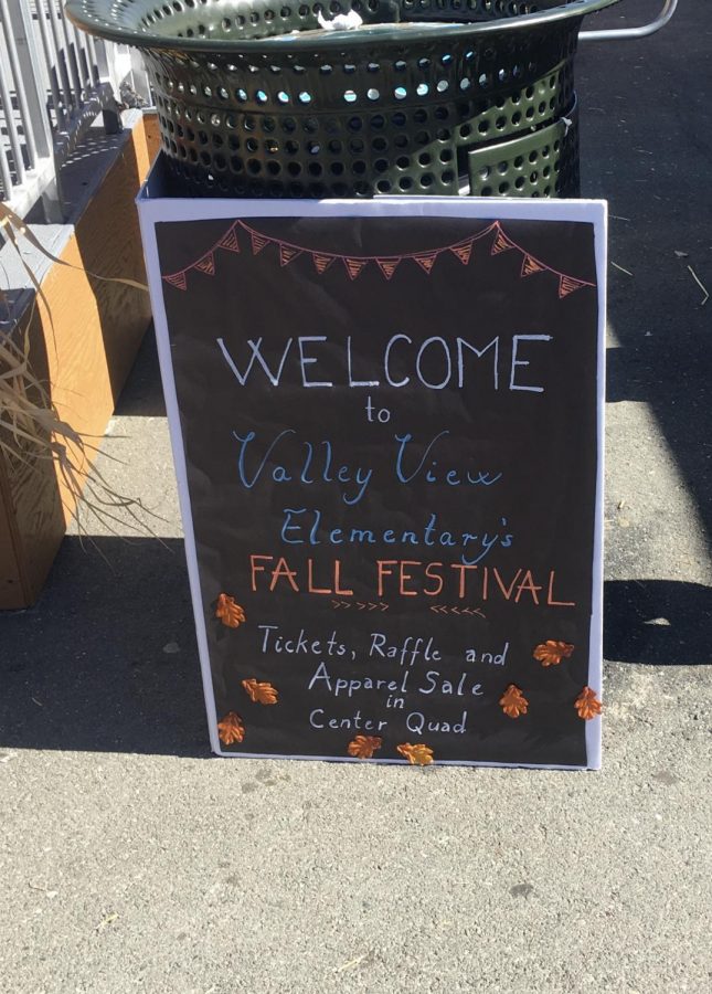 Fall Festival at Valley View Elementary!